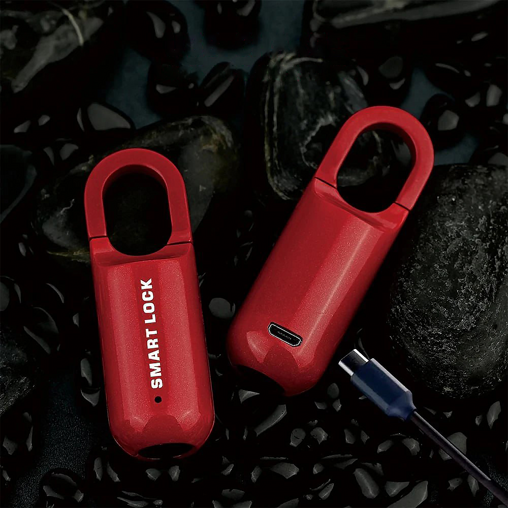 Fingerprints Lock