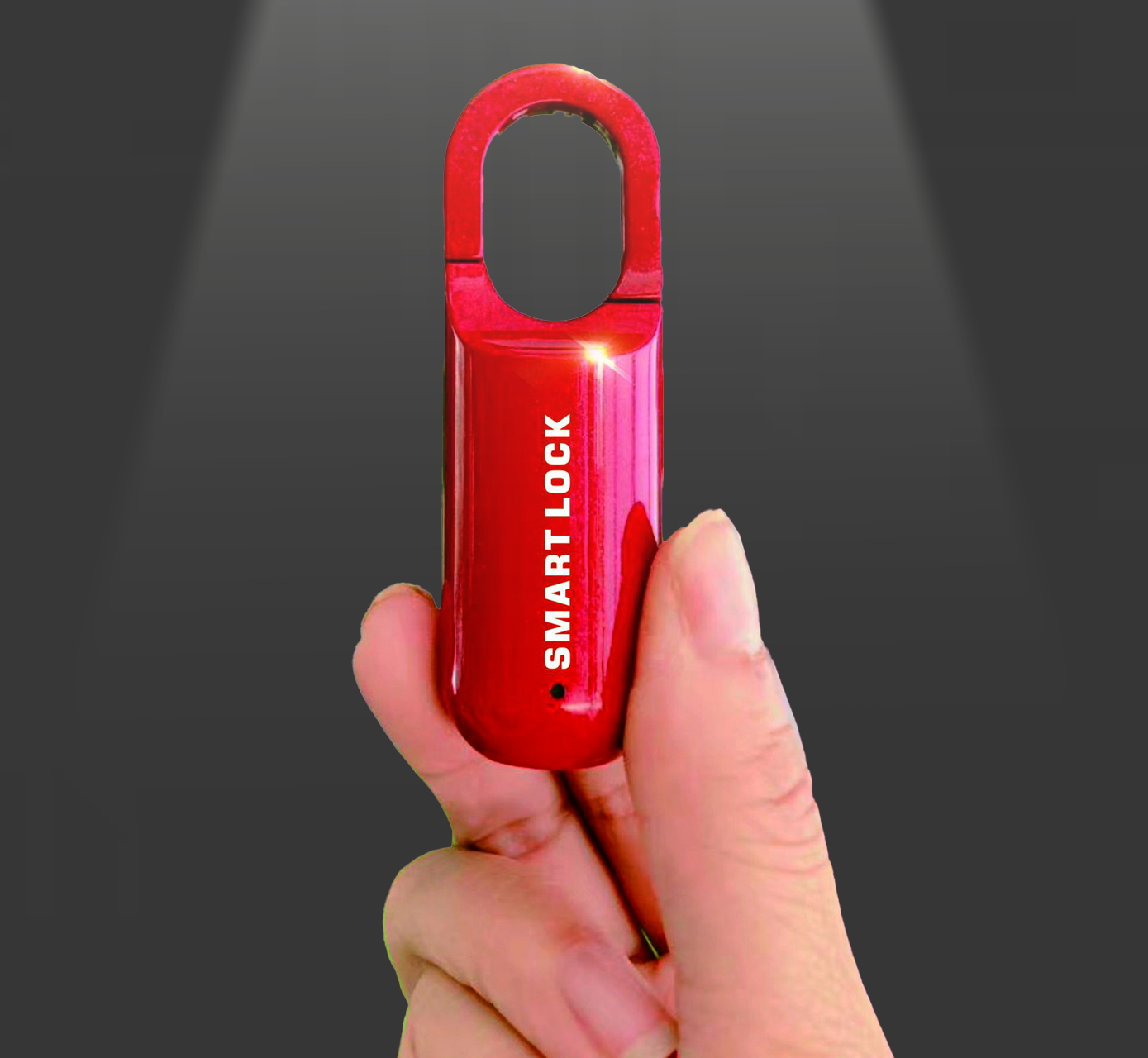 Fingerprints Lock