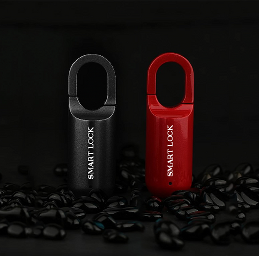 Fingerprints Lock