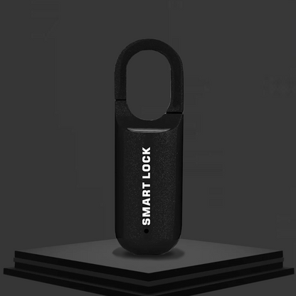 Fingerprints Lock